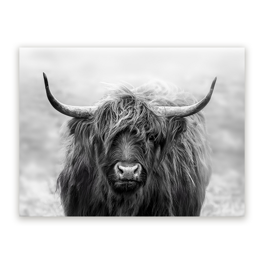 Schilderij Schotse Blik