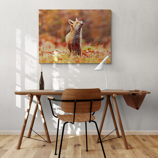Schilderij Vos in Herfstlandschap