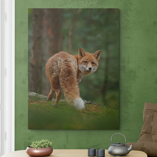 Schilderij Vos in het Groene Bos