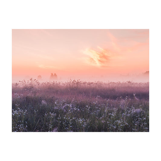 Schilderij Betoverende Bloemenveld bij Zomerzonsopgang