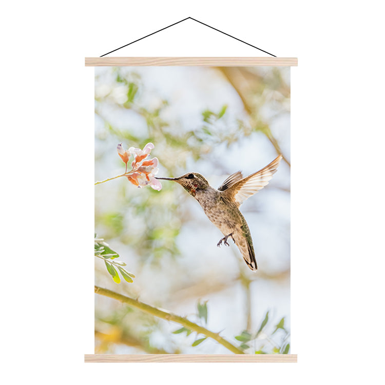 Textielposter Kolibrie op zoek naar Honing