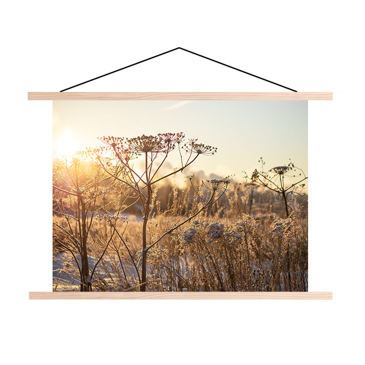 Textielposter Droogplanten in de Winterzon