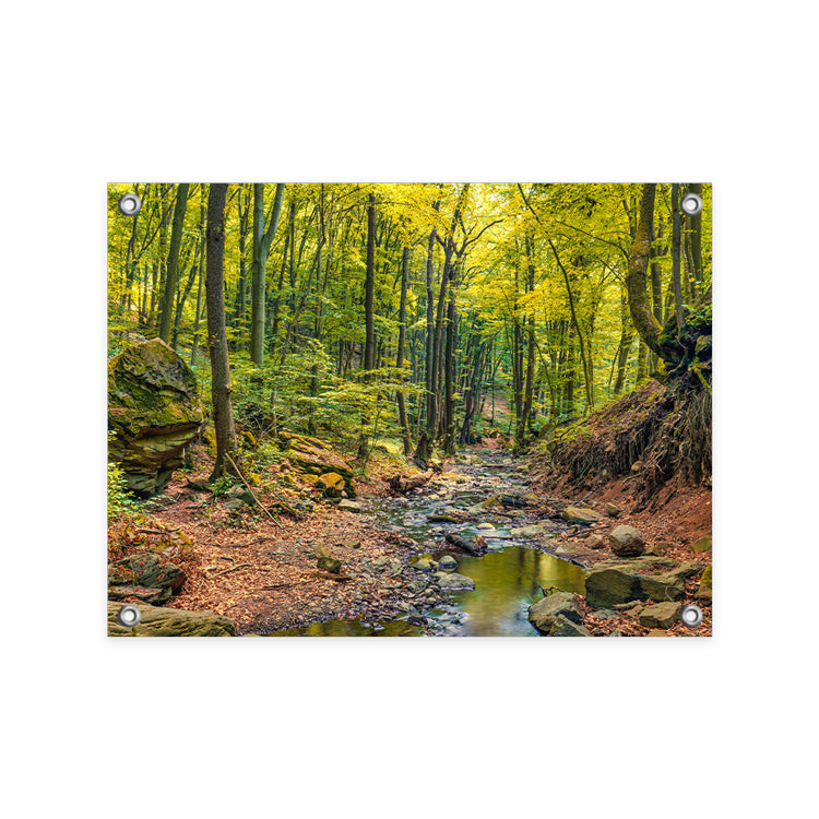 Tuinposter Prachtig Herfstbos