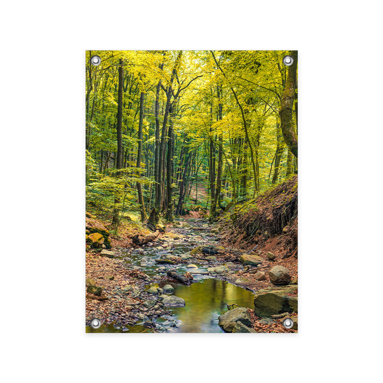 Tuinposter Prachtig Herfstbos