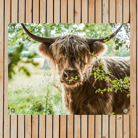 Tuinposter Vredige Hooglander
