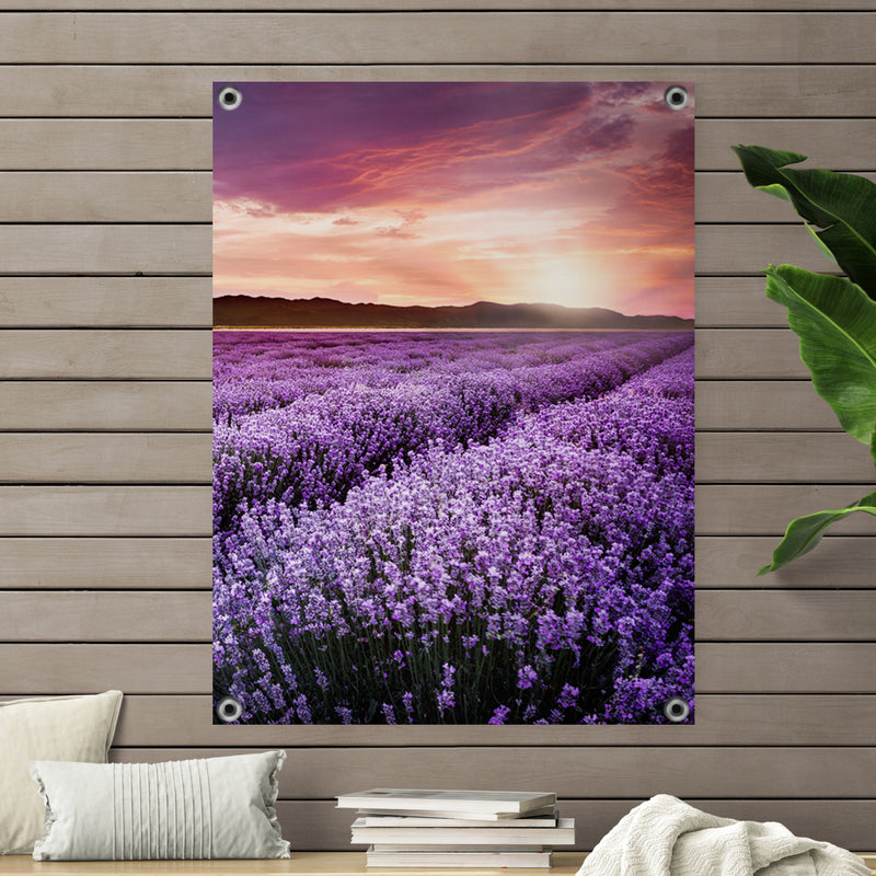 Tuinposter Bloeiend Lavendelveld