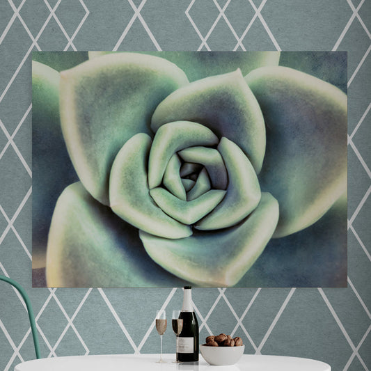 Schilderij Vetplant van Bovenaf