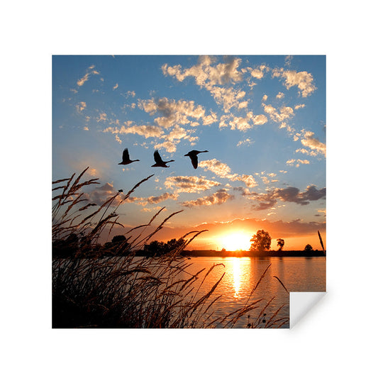 Muursticker - Ganzen bij Zonsondergang