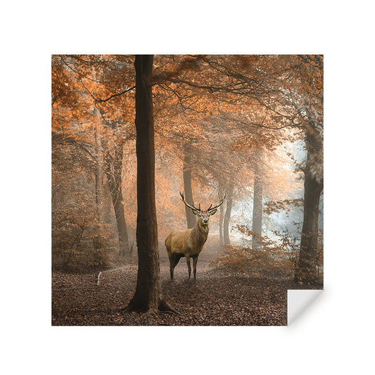 Muursticker - Hert in Herfstbos