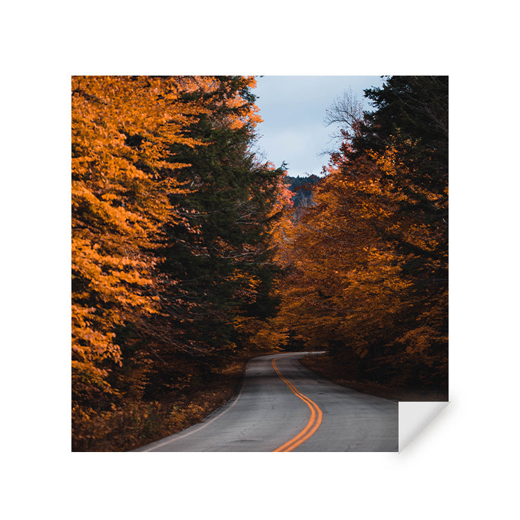Muursticker - Wanderlust Herfstweg