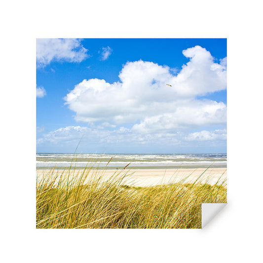 Muursticker - aan de Noordzee