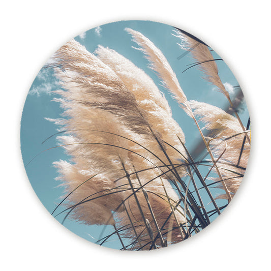 Muurcirkel Pampas in de Wind