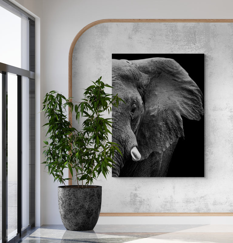 Schilderij Krachtige Olifant