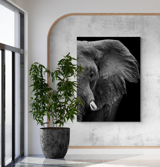 Schilderij Krachtige Olifant