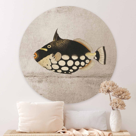 Muurcirkel Fish